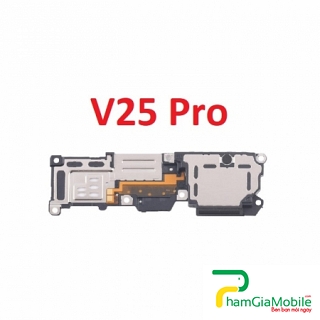 Loa Chuông, Loa Ngoài Vivo V25 Pro Speaker Ringer Buzzer